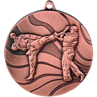 Медаль "Каратэ" бронза