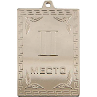 Медаль 052 2 место серебро