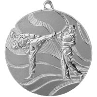 Медаль "Каратэ" серебро