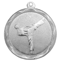 Медаль "Тхэквондо" серебро
