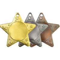 Медаль "Звезда" арт. 502