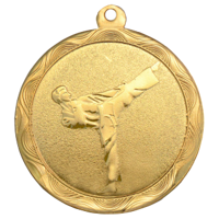 Медаль "Тхэквондо" золото